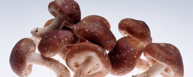 梦到蘑菇是什么意思啊 梦到蘑菇梦境解析