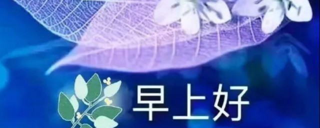 简短的早上问候语 早上暖心说说