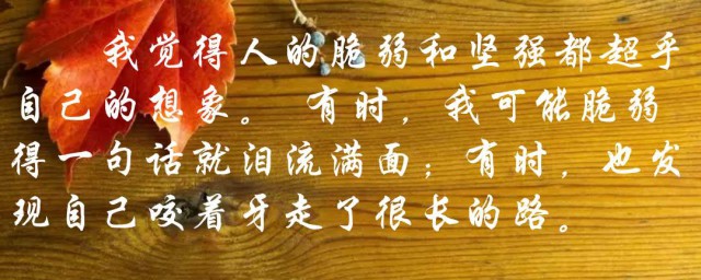 一句话一生随 一句话一生随分享