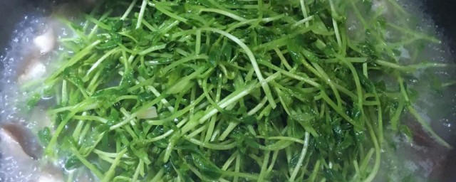 豆苗丸子汤怎样做 做豆苗丸子汤的技巧