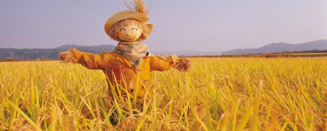 如何做稻草人吓鸟 稻草人怎么做