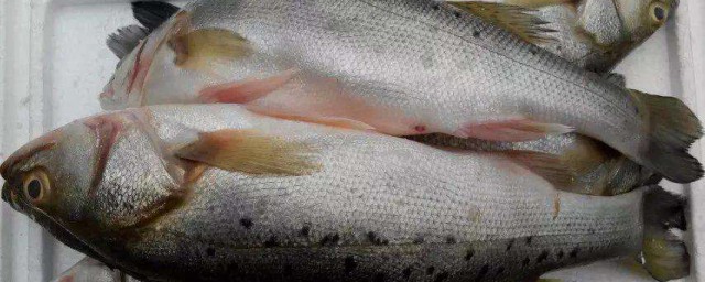 鲈鱼腌制方法 腌鲈鱼的腌制方法