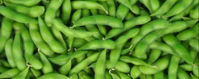 毛豆存储技巧 毛豆怎样储存