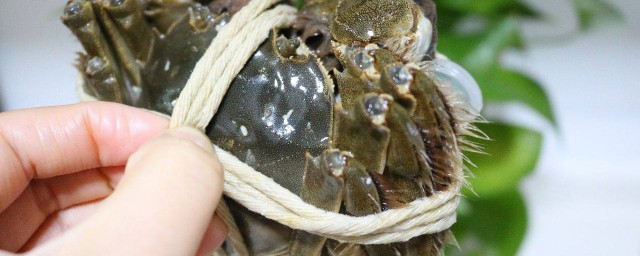 洗螃蟹的方法 关于洗螃蟹的方法
