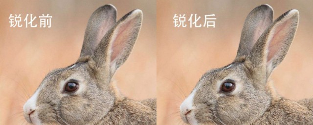 照片失真是什么意思 照片失真简介
