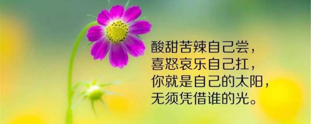一句话正能量经典语录 一句话正能量经典语录分享