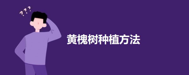 黄槐树种植要领 如何种黄槐树