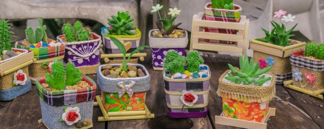 白兰花栽种技巧 白兰花怎样种