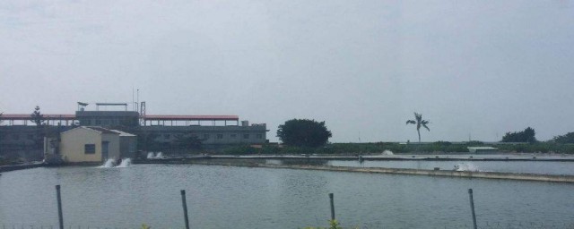 虾池的施工技巧 虾池怎样建造