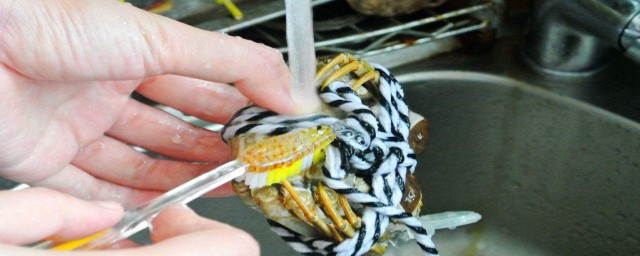 大闸蟹怎样刷 大闸蟹怎样刷比较干净