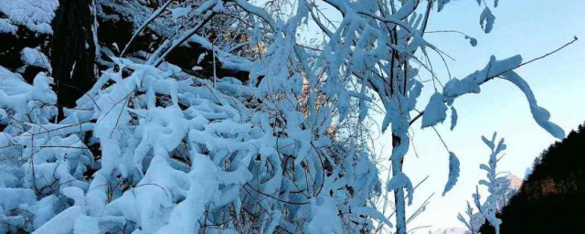 梦到白雪满地是啥意思 梦到白雪满地的寓意