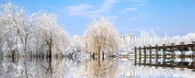 冬季去哪里旅游比较好国内 去哈尔滨看雪