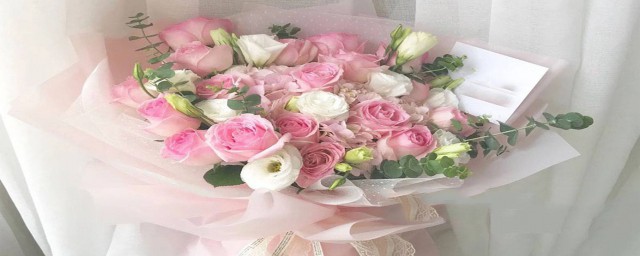 生日送什么花好 生日送哪些花好