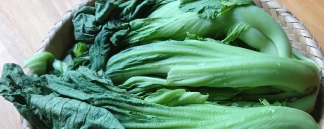 腌制芥菜的技巧 怎样腌制芥菜