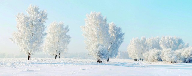 冬天雪景的简短句子 描写冬天雪景的唯美句子