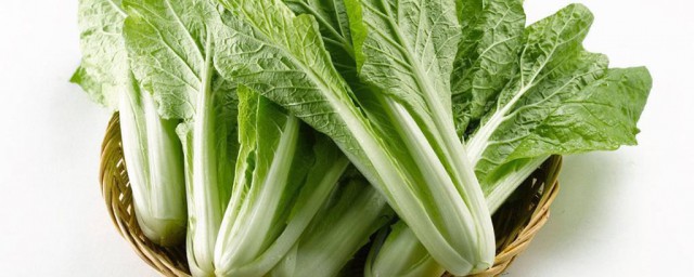四季小白菜的种植技巧 怎样种植小白菜
