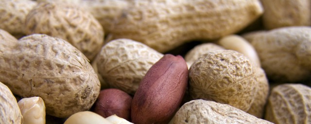 过期带壳生花生怎样做肥料 过期带壳生花生怎样做肥料