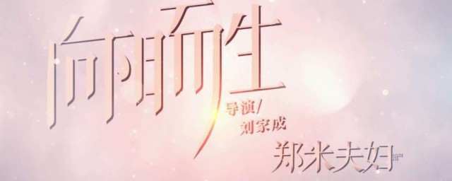 向阳而生大结局怎样 向阳而生大结局怎样