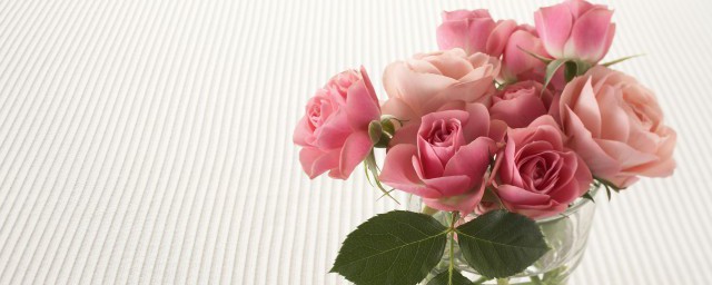 玫瑰花束怎样保存 怎样可以让玫瑰花束长久保鲜