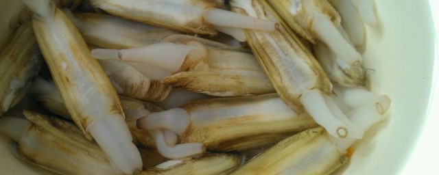 原味蛏子怎样做 怎样做原味蛏子