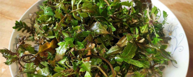 荠菜泡菜怎样做 荠菜泡菜的做法