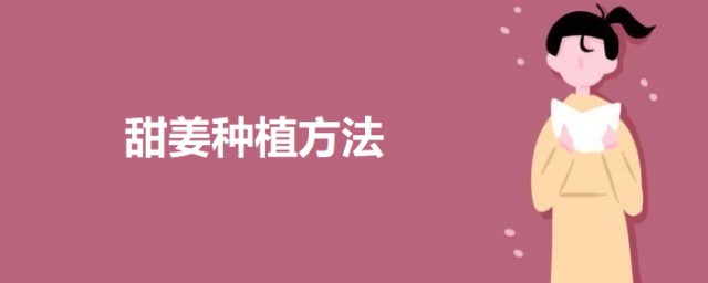 甜姜种植技巧 阳台上怎样栽种甜姜