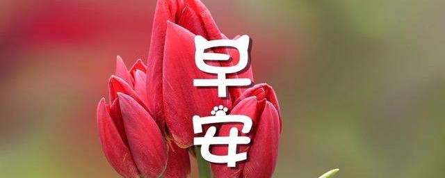 早安朋友圈鼓励自己的句子 微信每日一句激励的话