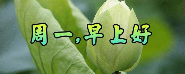 周一朋友圈早安心语 适合周一早上发朋友圈的早安说说
