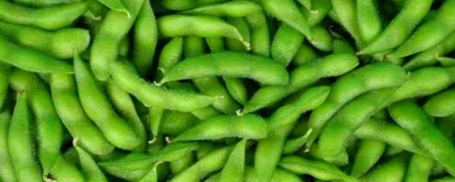 毛豆保存的技巧 毛豆保存的技巧分享