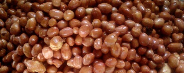 腌咸花生米要领 怎么腌制花生米