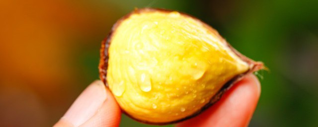 烧栗子怎样做 烧栗子简单吃法