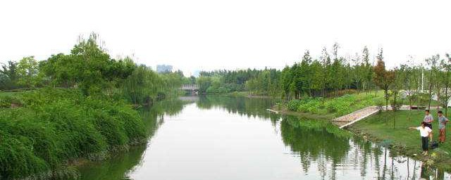 鱼塘建造技巧 怎样建造鱼塘