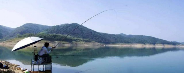 什么技巧钓鲤鱼好 钓鲤鱼技巧