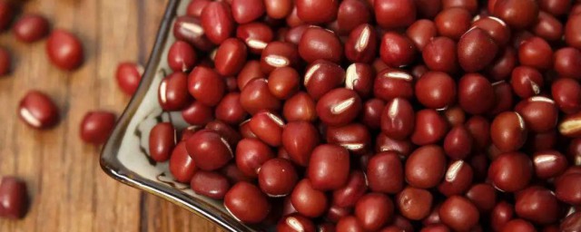 红豆怎么发芽 红豆发芽要领