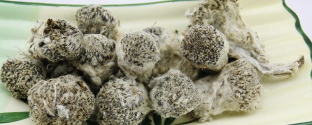 藏雪莲的泡水办法 藏雪莲的泡水要领介绍