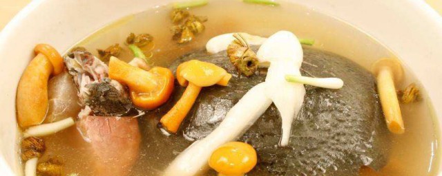 甲鱼的制作技巧 怎样做甲鱼好吃