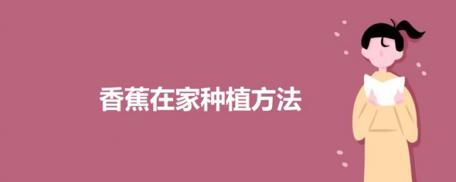 香蕉在家种植技巧 香蕉的种植技巧简介