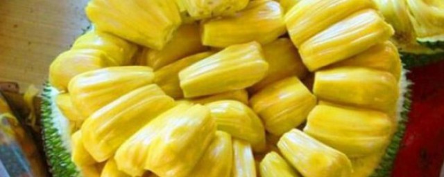 菠萝蜜如何挑新鲜 挑选菠萝蜜的要领