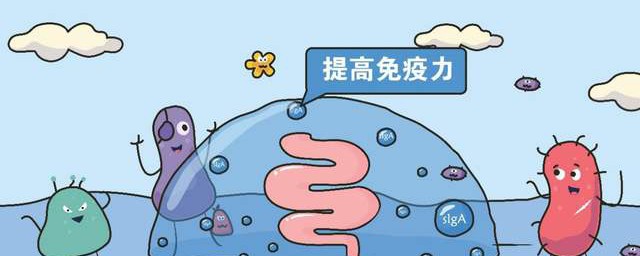 提高儿童免疫力的6大技巧 提高儿童免疫力的6大技巧简单简介