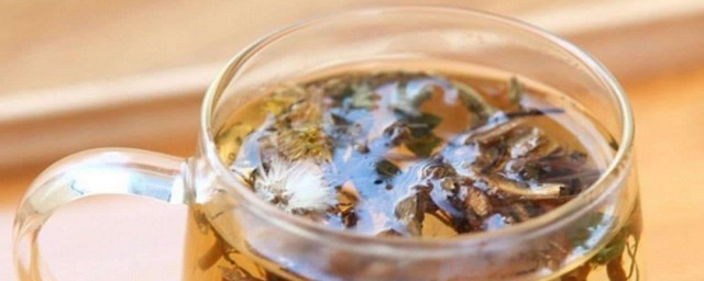 蒲公英怎样喝 蒲公英泡水的功效及禁忌简介