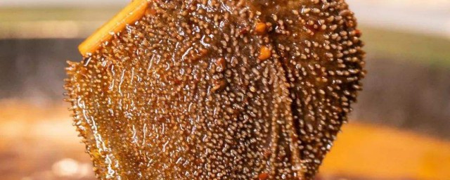 毛肚如何涮 涮毛肚的做法