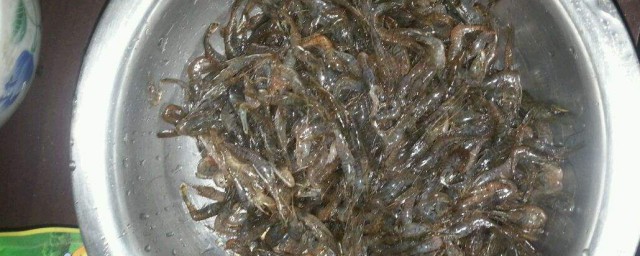 虾米存放方式 虾米的存放要领推荐