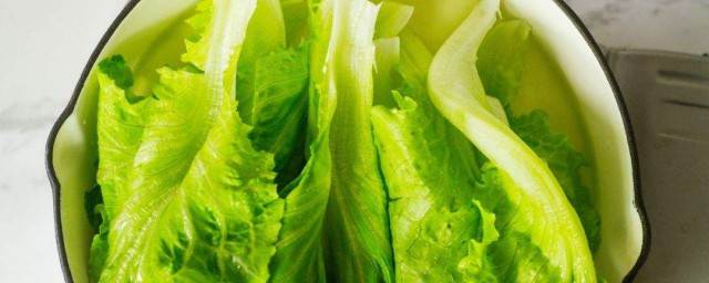 生菜怎么洗 生菜怎么洗才干净