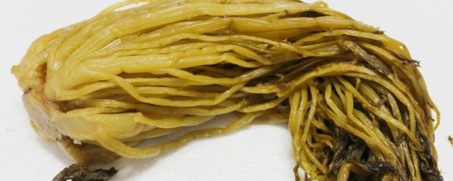 雪菜怎样腌制 腌制雪菜技巧简单简介