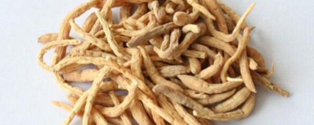 太子参怎样吃 太子参的吃法