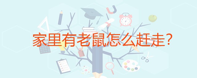 家里有老鼠怎样赶走 老鼠最怕这些东西的气味