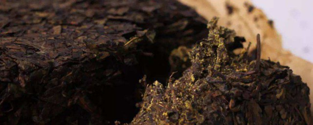 山东普洱茶怎样保存技巧 怎样保存山东普洱茶