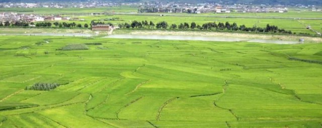 什么是农业用地 什么是农业用地指标