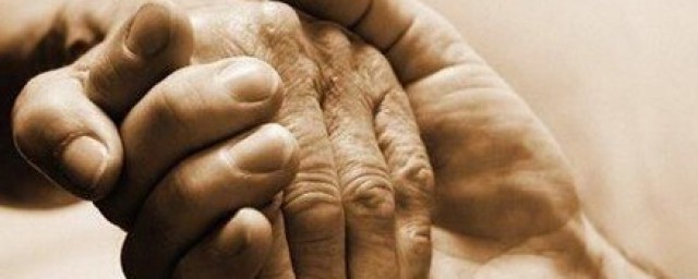 子欲养而亲不在的意思 子欲养而亲不在的简介