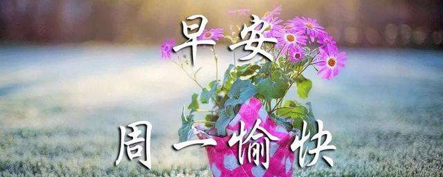 周一经典温馨问候语 最经典周一问候语